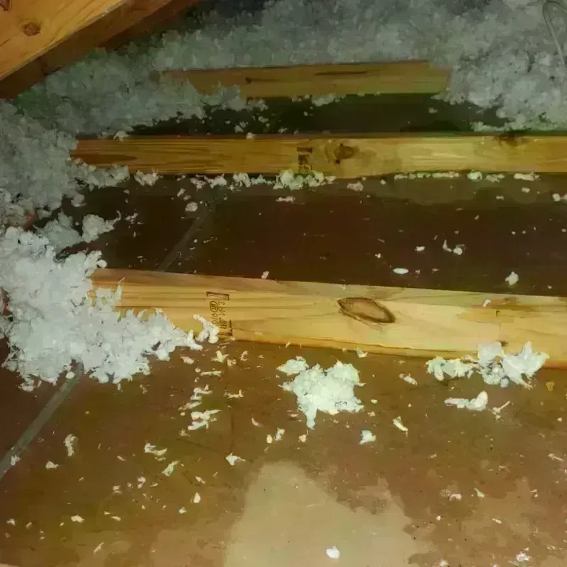 Attic Water Damage in Flourtown, PA